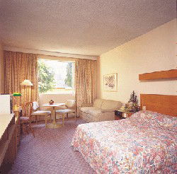 Country Comfort Armidale - Accommodation Directory 3