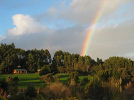 Pemberton Lavender And Berry Farm Cafe And Cottages - Accommodation Directory 3