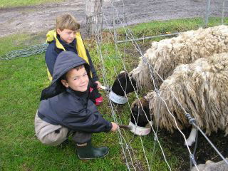 Meerup Springs Farmstay - Accommodation Directory 3