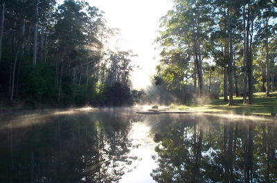 Pemberton Camp School - Accommodation Directory 3