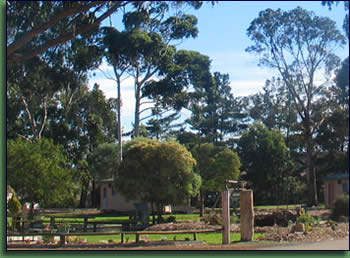 Kalgan River Chalets And Caravan Park - Accommodation Directory 0