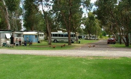 Harvey Rainbow Caravan Park - Accommodation Directory 0