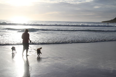 BIG4 South Durras Holiday Park - Accommodation Directory 1