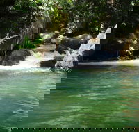 Daintree Secrets Rainforest Sanctuary - Accommodation Directory
