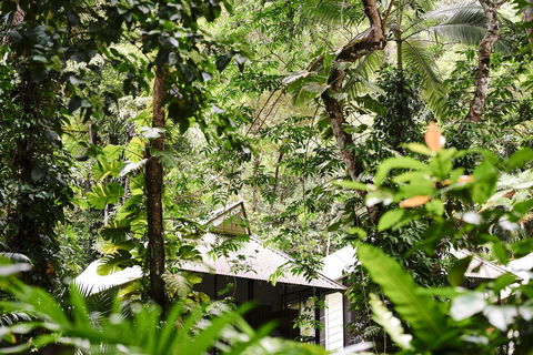 Daintree Ecolodge - Accommodation Directory 0