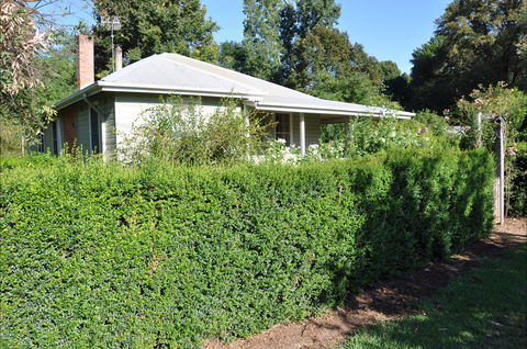 Honeysuckle Cottage - Accommodation Directory 1