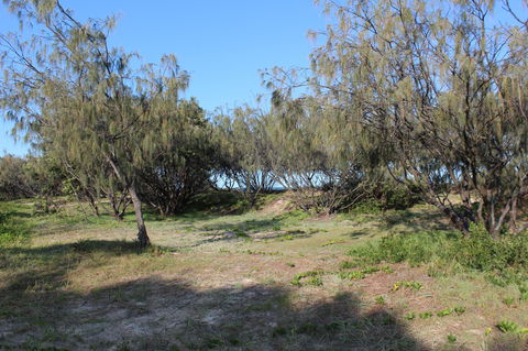 K'gari (Fraser Island) Camping, Great Sandy National Park - Accommodation Directory 1