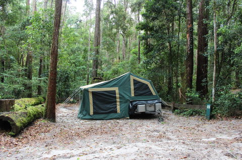K'gari (Fraser Island) Camping, Great Sandy National Park - Accommodation Directory 2