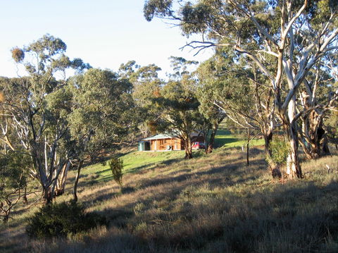 Molly's Chase - Accommodation Directory 0