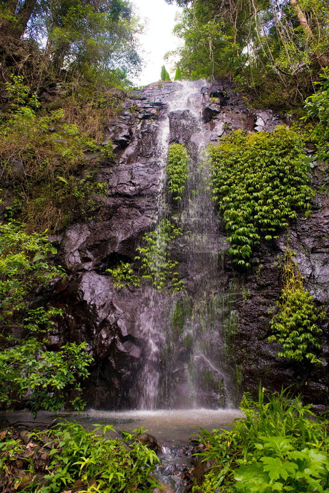 Nimbin Waterfall Retreat - Accommodation Directory 0