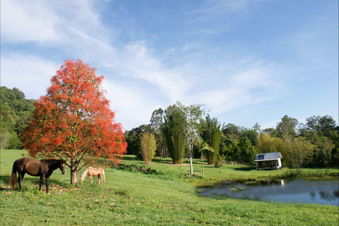 Nimbin Waterfall Retreat - Accommodation Directory 1