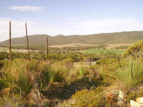 Nyroca Campsite & Group Accommodation - Accommodation Directory 0