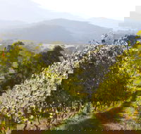 Rosetta's Garden Guesthouse - Accommodation Directory