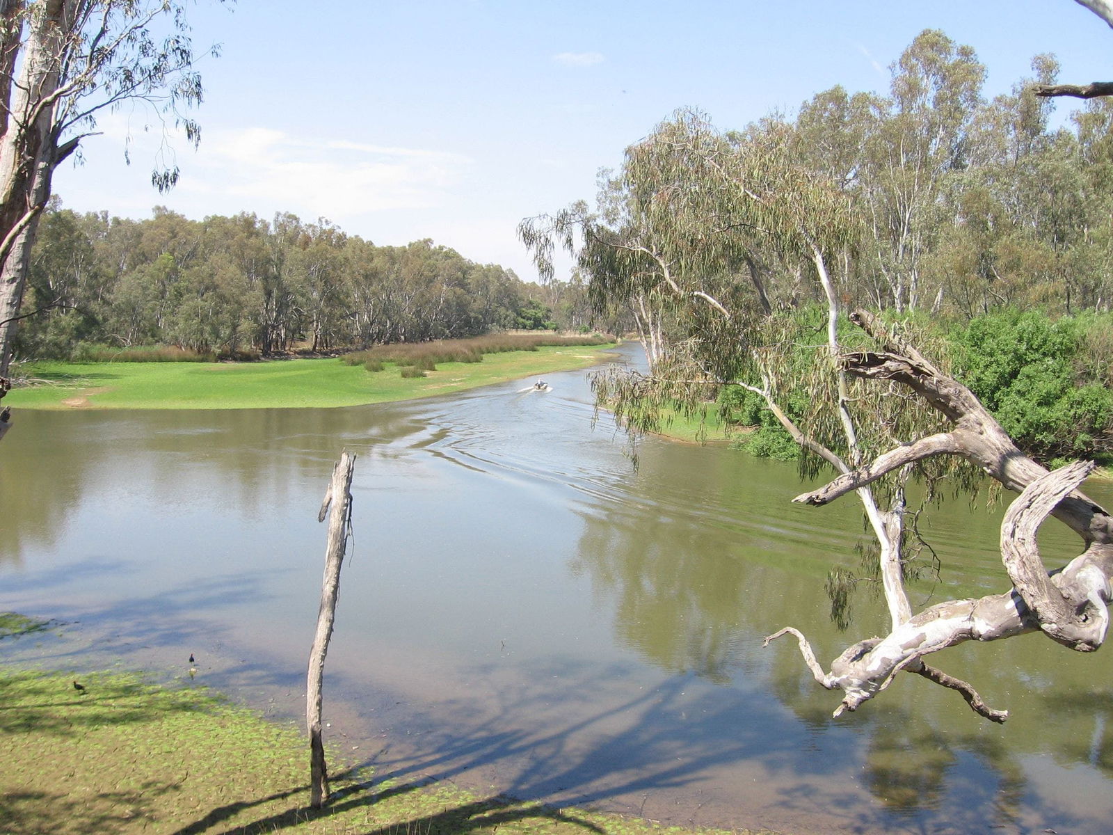 Collendina NSW Accommodation Directory
