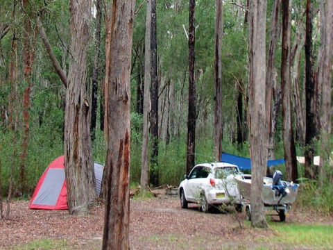 Wallingat River Campground - Accommodation Directory 0