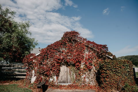 Willow Farm Berry - Accommodation Directory 2