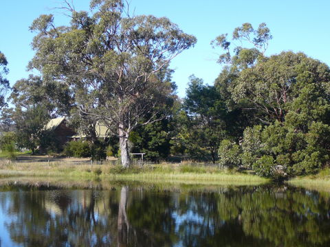 Wind Song Bed And Breakfast - Accommodation Directory 2