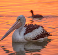 4 Pelican Court - River Shack Rentals - Accommodation Directory