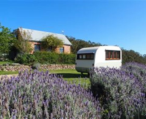 Amelies - Accommodation Directory 1