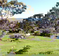 Austiny Bed and Breakfast - Accommodation Directory