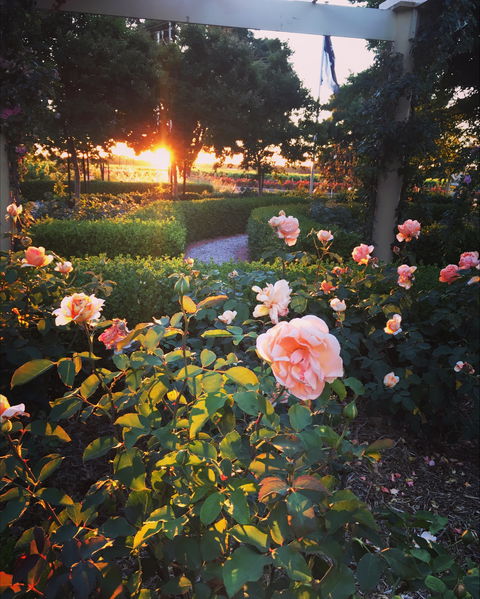 BAROSSA  HOUSE - Accommodation Directory 1