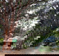 Fernleigh Accommodation - Accommodation Directory