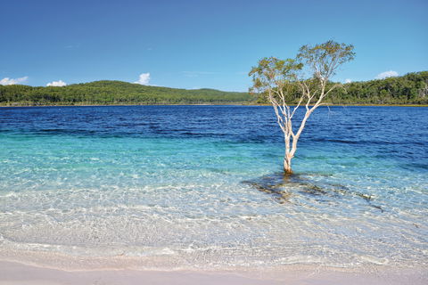 Fraser Island Fishing Units - Accommodation Directory 0