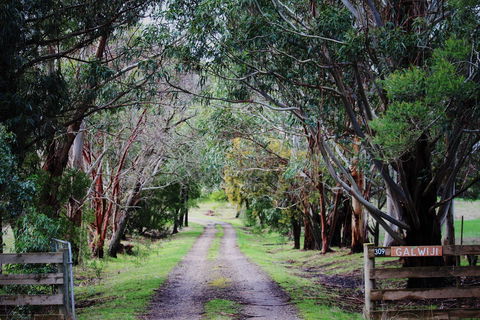 Galwiji Homestead - Accommodation Directory 1