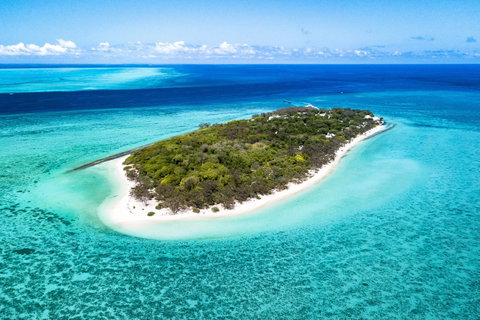 Heron Island Resort - Accommodation Directory 0