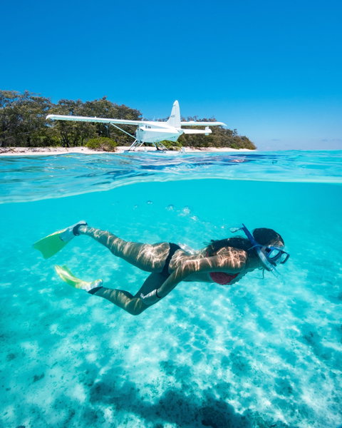 Heron Island Resort - Accommodation Directory 1