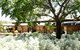 Marananga Cottages - thumb 0