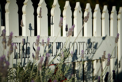 Mayfield Vineyard Cottages - Accommodation Directory 0