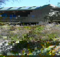 Melaleuca - Eco and Pet Friendly  Harbor Point Cabins - Accommodation Directory
