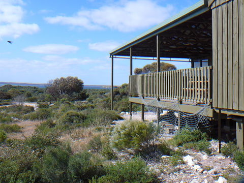 Melaleuca - Eco And Pet Friendly,  Harbor Point Cabins - Accommodation Directory 1