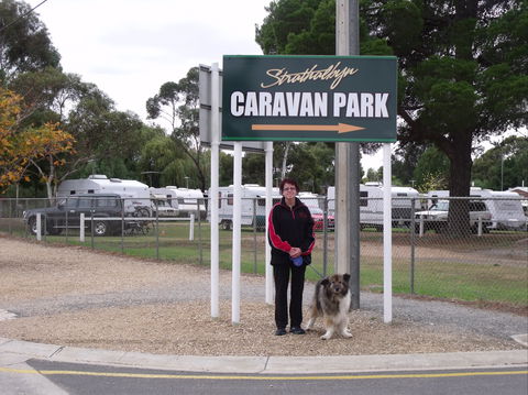 Strathalbyn Caravan Park - Accommodation Directory 0