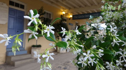 The Globe Inn - Accommodation Directory 1
