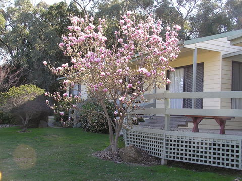 Annies Holiday Units - Accommodation Directory 0