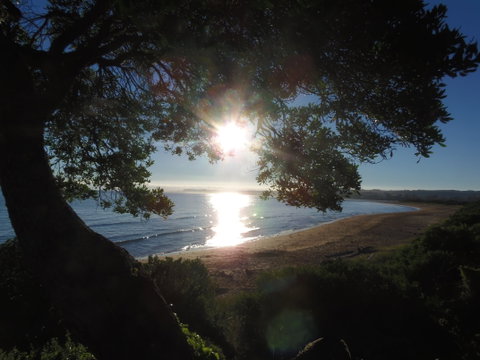 Apex Beachside Holiday Park - Accommodation Directory 1