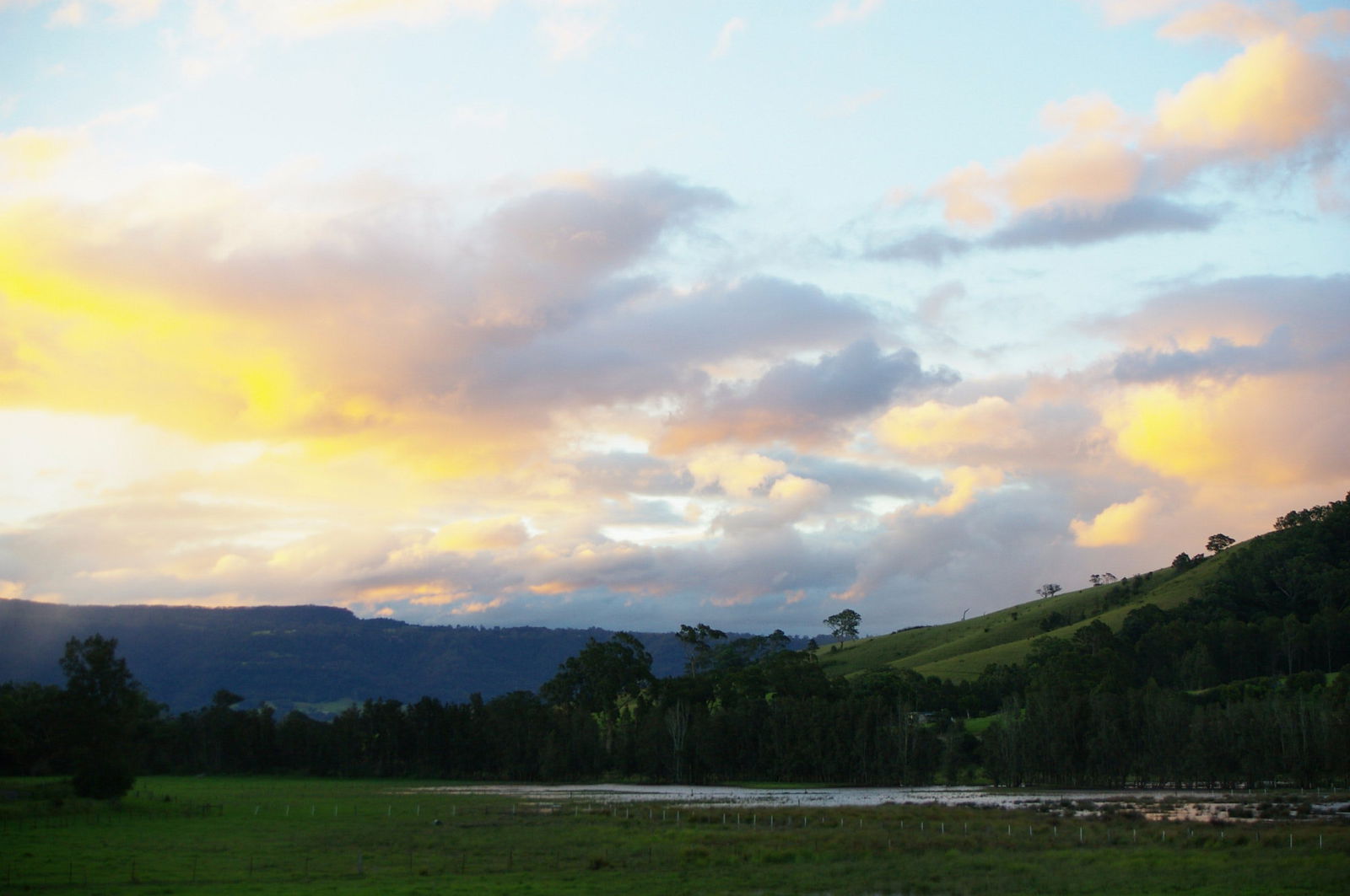 Back Forest NSW Accommodation Directory
