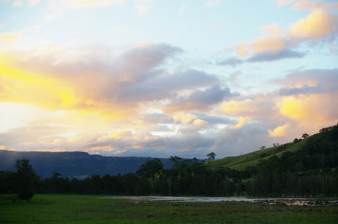 Back Forest Retreat - Accommodation Directory 0