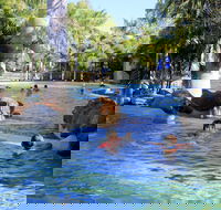 Big4 Aussie Outback Oasis Holiday Park - Accommodation Directory