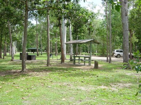 Broadwater Camping Area, Abergowrie State Forest - Accommodation Directory 0