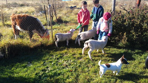 Dairy Park Farm Stay Bed And Breakfast - Accommodation Directory 2