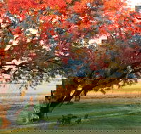 Little Kickabell Country Homestead - Accommodation Directory