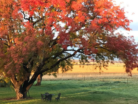Little Kickabell Country Homestead - Accommodation Directory 0