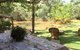 Moble Homestead - thumb 1