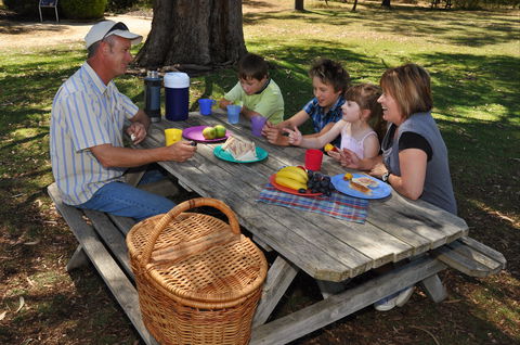 Naracoorte Caves Camping And Accomodation - Accommodation Directory 0