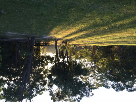 Possum's Hollow And Hooter's Hut - Accommodation Directory 0