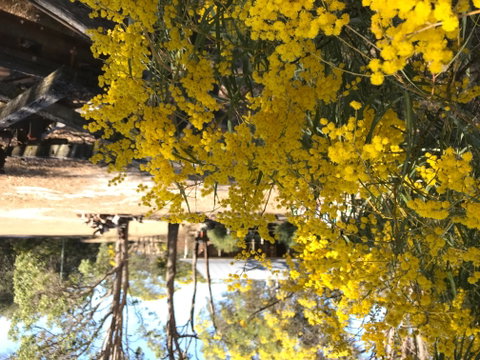 Possum's Hollow And Hooter's Hut - Accommodation Directory 1