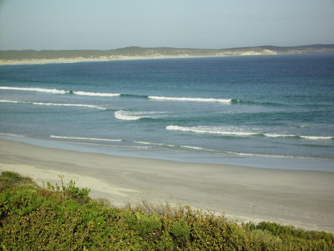 Raven Cottage KI - Accommodation Directory 1